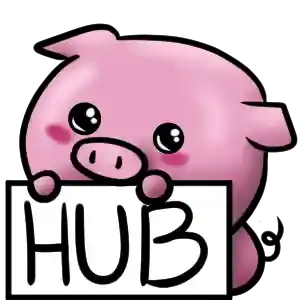 Hub Server